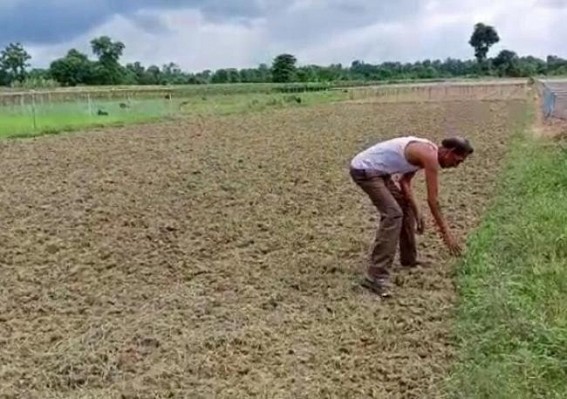Farmers face losses after rain, no help yet received from the Govt